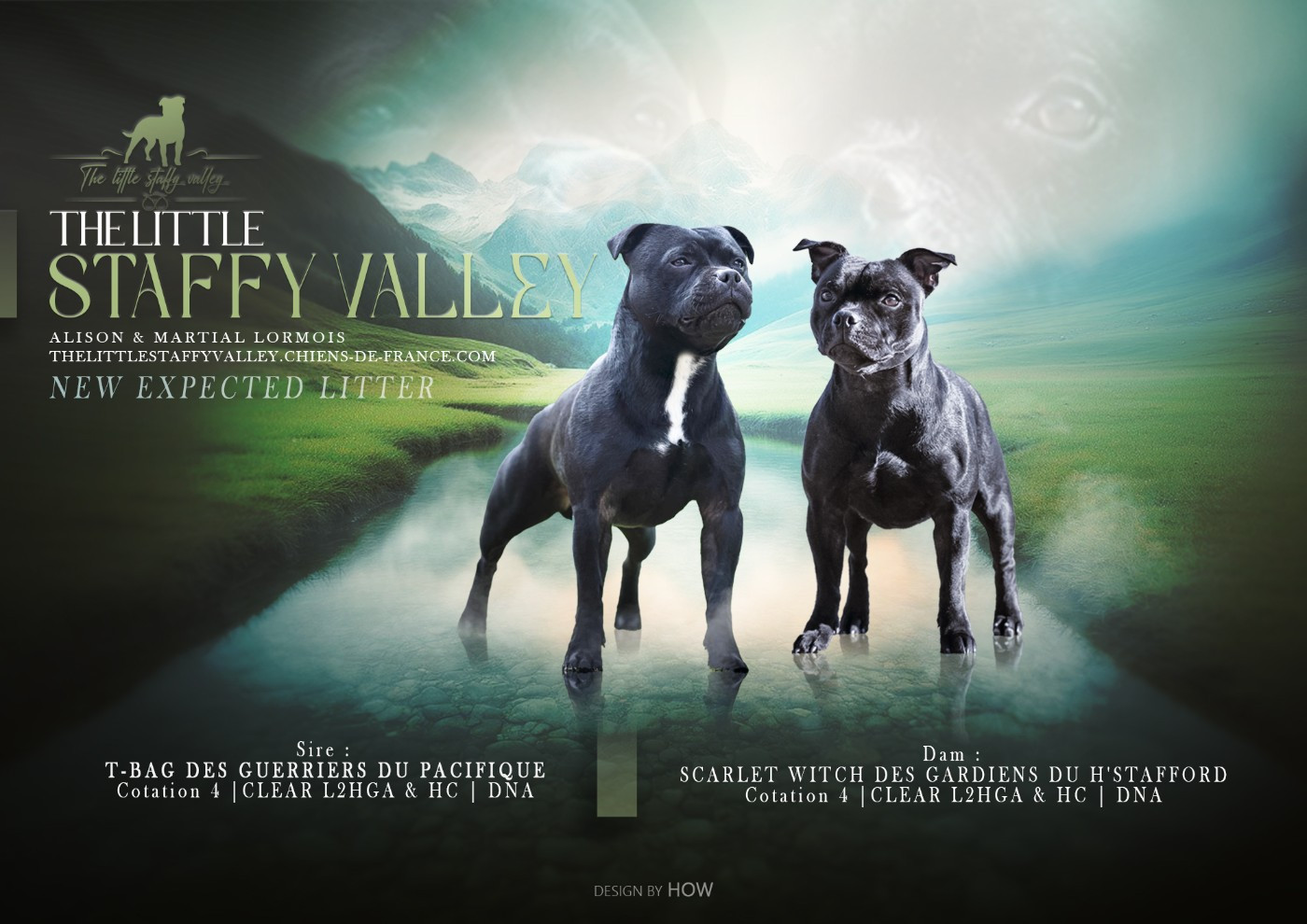 Mariage Scarlet & Thor 2026